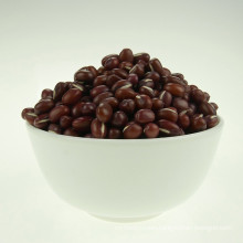 azuki bean small red bean 2016 crop high quality hot sale